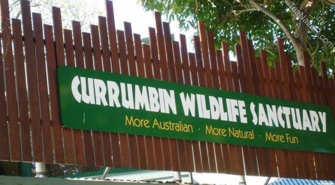 Day 4 – Currumbin Wildlife Sanctuary