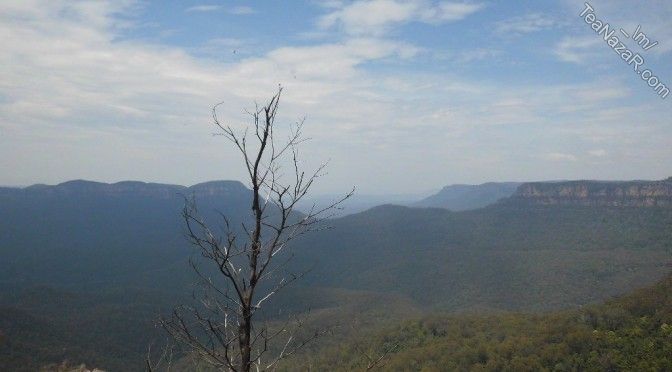 Day 3 – The Scenic World Blue Mountains