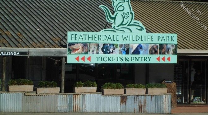 Day 7 – Featherdale Wildlife Park | Shopping at Paddy’s Market